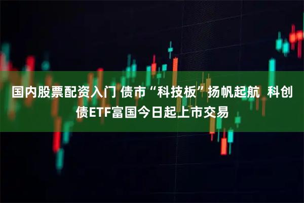 国内股票配资入门 债市“科技板”扬帆起航  科创债ETF富国今日起上市交易