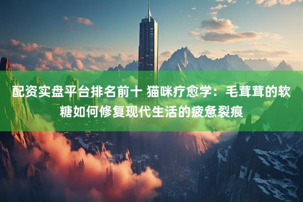 配资实盘平台排名前十 猫咪疗愈学：毛茸茸的软糖如何修复现代生活的疲惫裂痕
